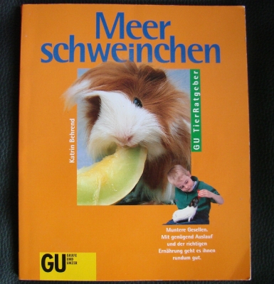 Originalbild zum Tauschartikel Meerschweinchen Haltung gesund & munter